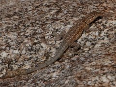 Public domain image, royalty free stock photo from www.public-domain-image.com