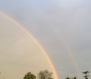 doublerainbow