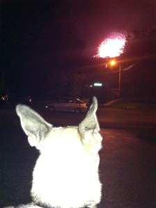 Rodney watching the fireworks.