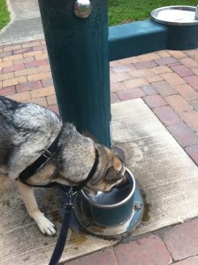 Rodney at Water Fountain