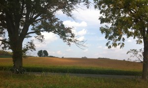 The same field on Saturday: Six Days Later