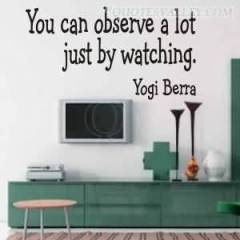 you-can-observe-a-lot-just-by-watching