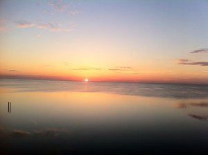IMG_2686