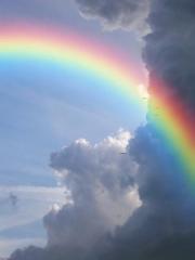 rainbow