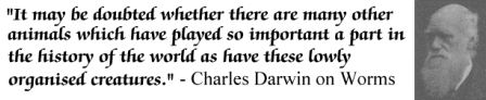 DarwinQuote