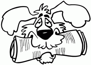 dog newspaper