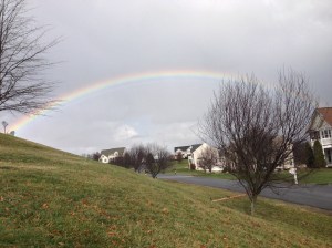 rainbow(3)