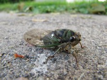 9922247156_416ec698b0_k